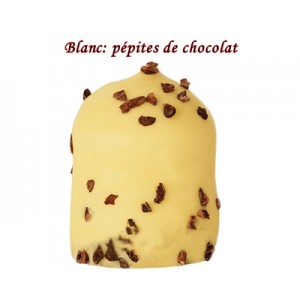 BOULE MOUSSE CHOCOLAT BLANC PEPITES DE CHOCOLAT REF 607