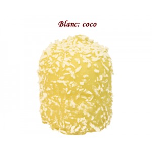 BOULE MOUSSE CHOCOLAT BLANC COCO REF 606