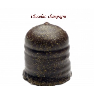 BOULE MOUSSE CHOCOLAT CHAMPAGNE REF 624