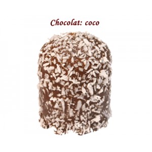BOULE MOUSSE CHOCOLAT COCO REF 618