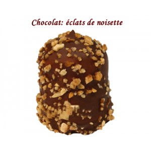 BOULE MOUSSE CHOCOLAT CROQUANT NOISETTE REF 616