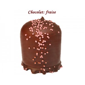 BOULE MOUSSE CHOCOLAT FRAMBOISE REF 620