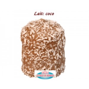 BOULE MOUSSE CHOCOLAT AU LAIT COCO REF 611