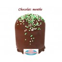 BOULE MOUSSE CHOCOLAT MENTHE REF 610