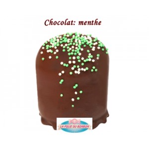 BOULE MOUSSE CHOCOLAT MENTHE REF 610