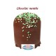 BOULE MOUSSE CHOCOLAT MENTHE REF 610